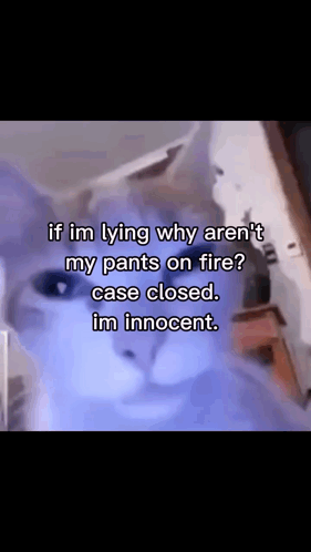 If Im Lying Cat Innocent Cat GIF
