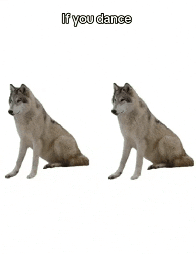 If You Dance Ill Dance GIF