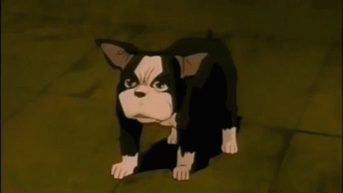 Iggy Stardust Crusaders Ova GIF