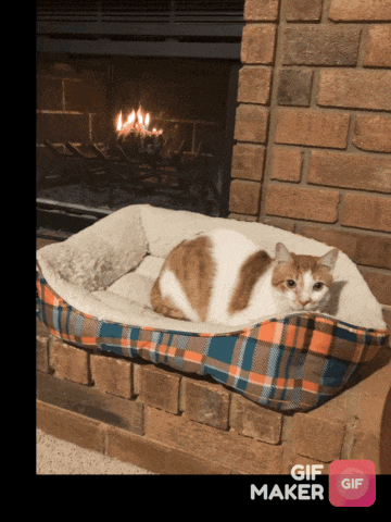 Im Cozy Im Tired GIF