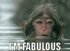 Im Fabulous Monkey GIF