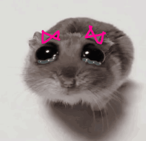 I'M Just A Girl Sad Hamster GIF