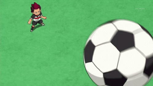 Inazuma Eleven Go Inago GIF