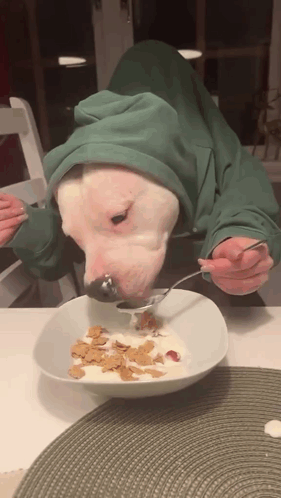 Inefablejuly Dog Eating Cornflake Bread GIF