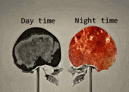 Insomnio Tengo GIF
