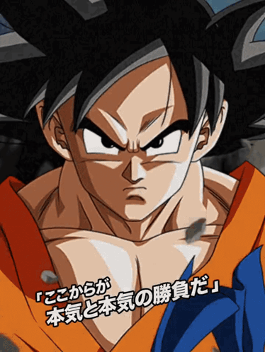 Int Super Saiyan God Ss Goku Super Saiyan God Ss Vegeta Divine Combat Begins GIF