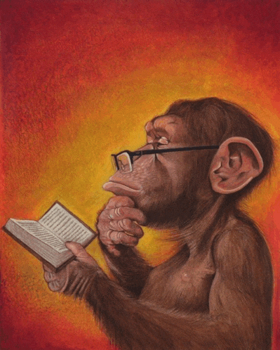 Intelligent Monkey Meme