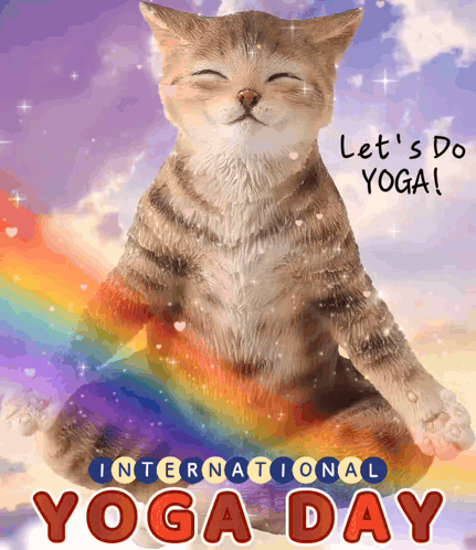 International Yoga Day Yoga Day GIF