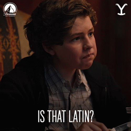 Is That Latin Carter GIF