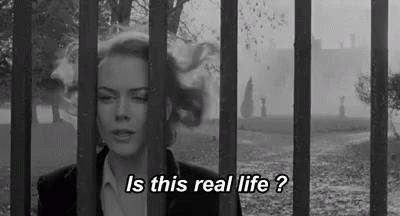 Is This Real Life GIF