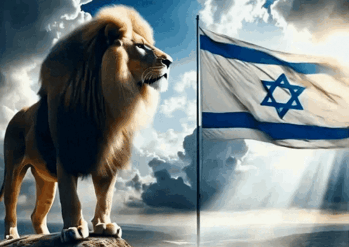 Israel Israel Flag GIF