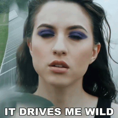 It Drives Me Wild Ashland GIF