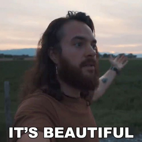 Its Beautiful Trent GIF