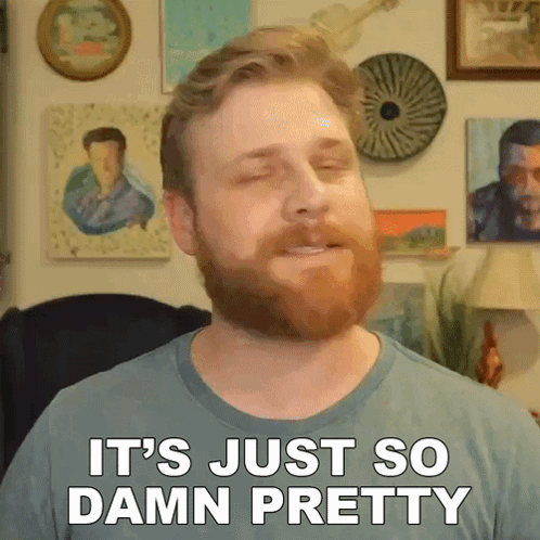 Its Just So Damn Pretty Grady Smith GIF