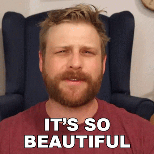 Its So Beautiful Grady Smith GIF
