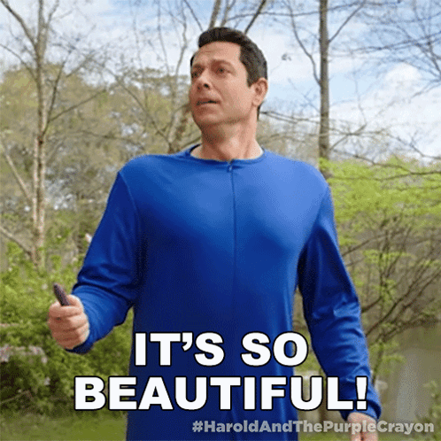 It'S So Beautiful Harold GIF