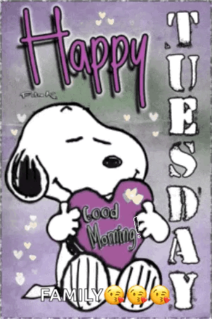 Its Tuesday Good Morning GIF
