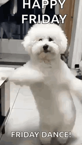 Its Your Birthday Happy Birthday GIF