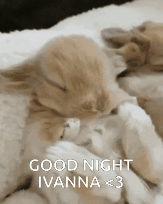 Ivanna Gn GIF