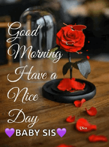 Jóreggelt Good Morning GIF