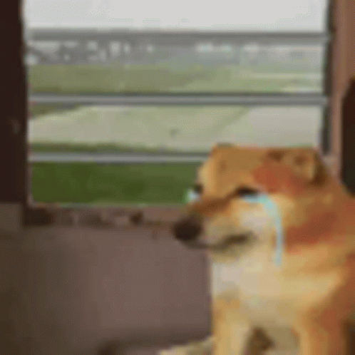 Ja Raha Mai Koi Nahi Aone GIF