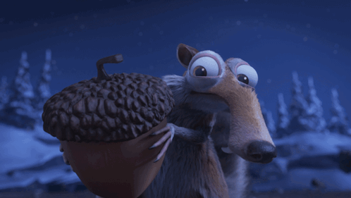 J'Ai Gagne T'As Perdu Squirrel GIF
