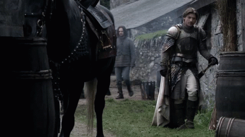 Jaime Lannister Nikolaj Coster Waldau GIF