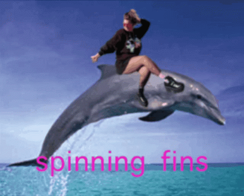 Jamilax Dolphin GIF