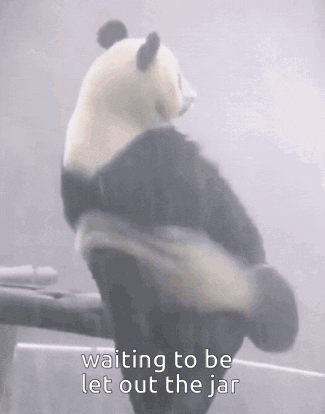 Jar Bear House GIF