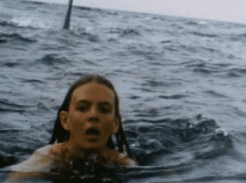 Jaws Jaws2 GIF