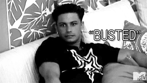 Jersey Shore Busted Pauly D Shore GIF
