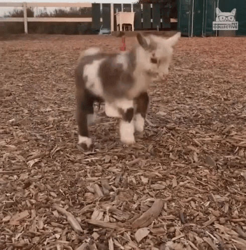 Jesus Loves You GIF