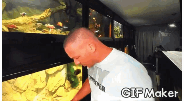 Joeymullen Diyjoey GIF