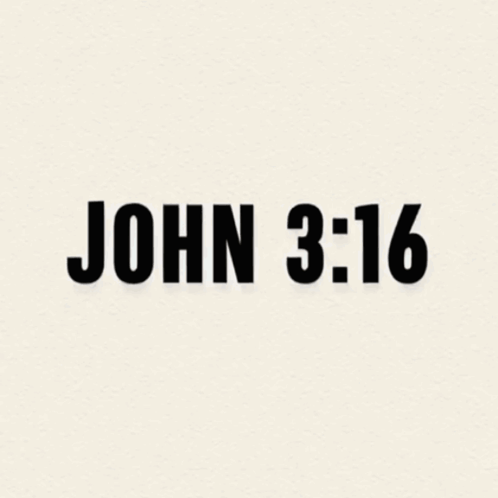 John 3 16 John 316 GIF
