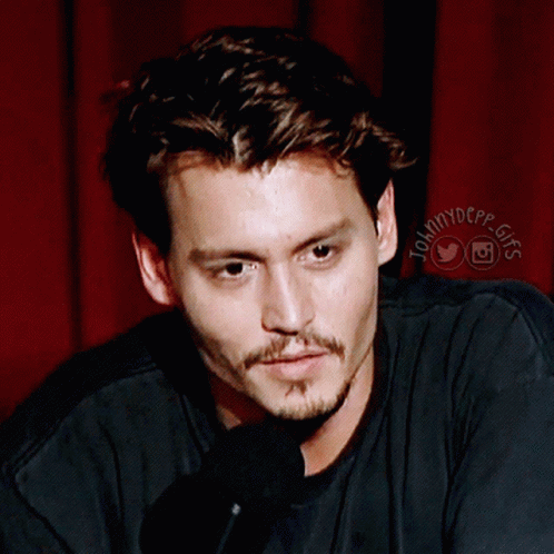 Johnny Depp Raise Eyebrow GIF