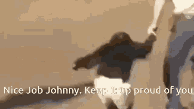 Johnny Monkey GIF