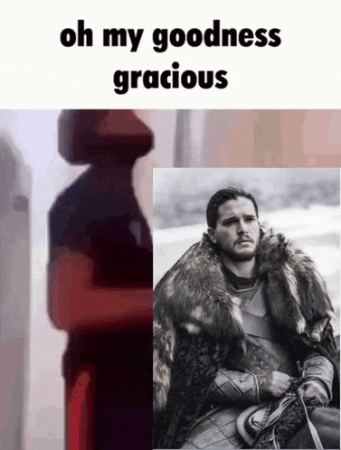 Jon Snow Oh My Goodness Gracious GIF