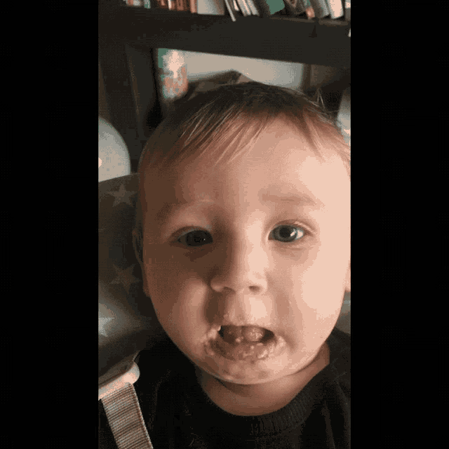 Josef Hamham GIF