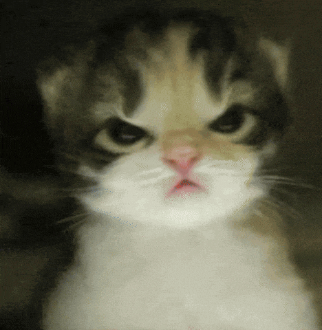 Joycebyers Winonaryder GIF