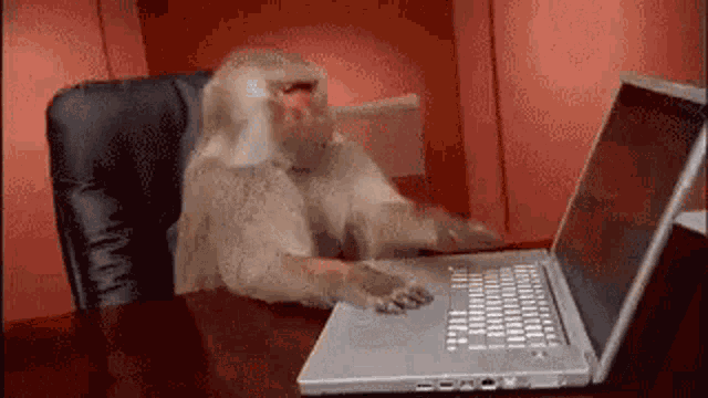 Jwycat GIF