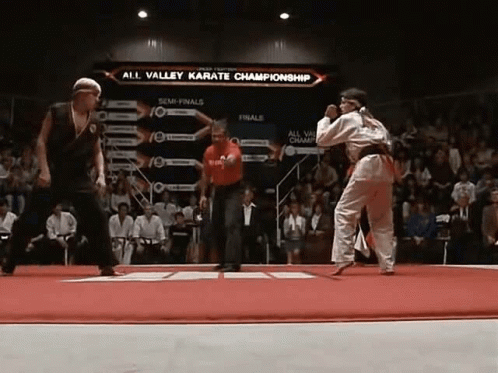 Karate Kid GIF