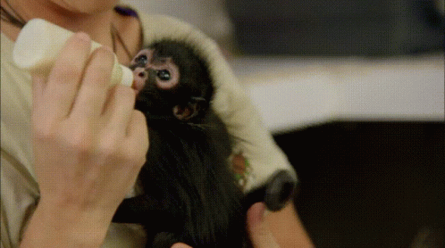 Kassypoo GIF