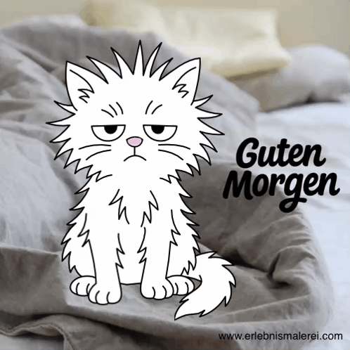 Katze Guten Morgen GIF