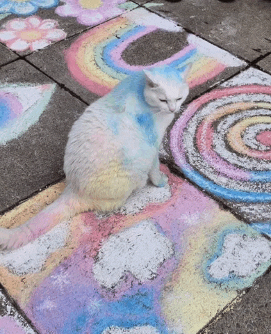 Kawaii Cat Colorful Cat Meme