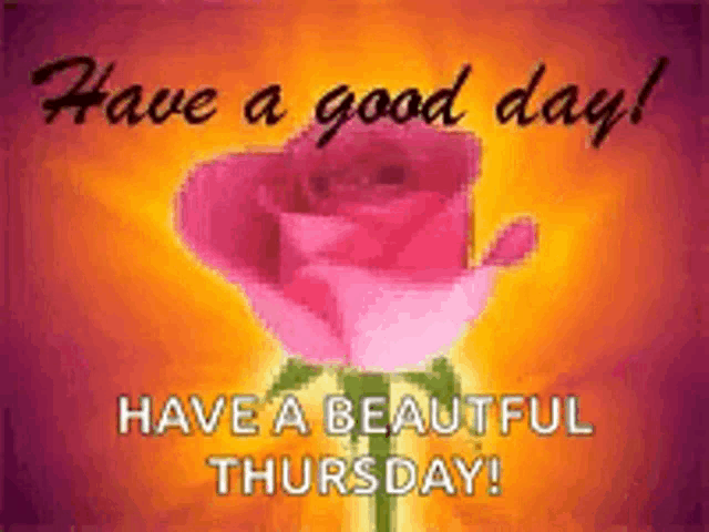 Kc000 Have A Good Day GIF