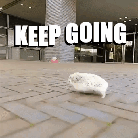 Keep Going Hedgehog GIF
