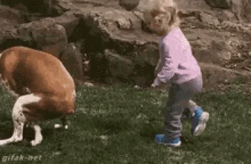 Keep Pooping Good Boy GIF
