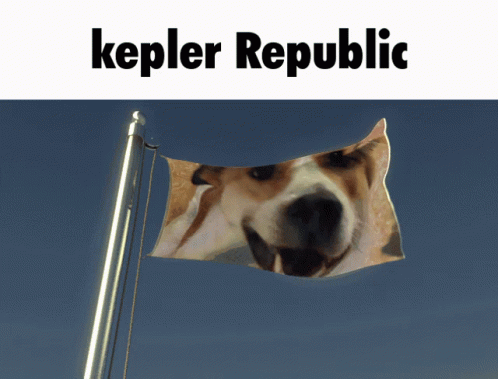 Kepler The Kepler GIF