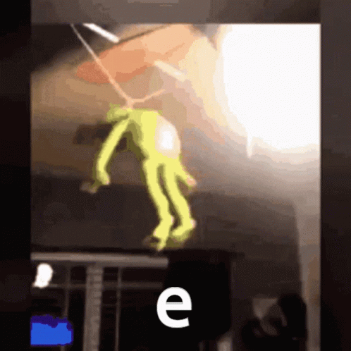 Kermit The Frog GIF
