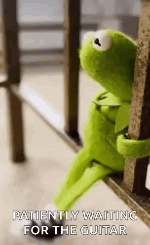 Kermit Waiting GIF